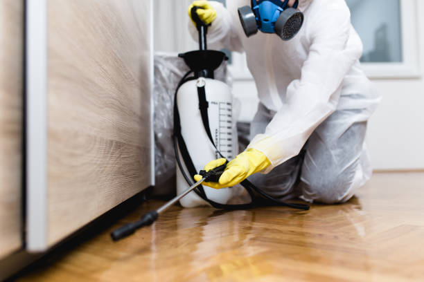 Best Wasp Removal Services  in Hurley, MS