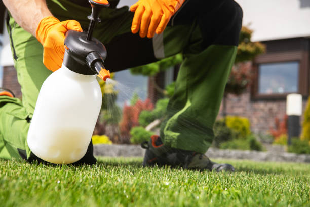 Best Pest Inspection Near Me  in Hurley, MS