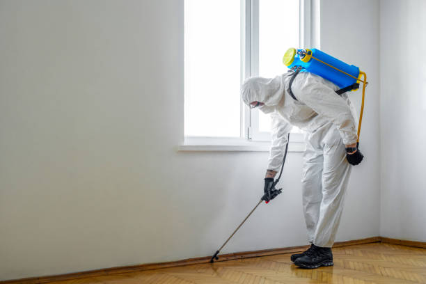 Trusted Hurley, MS Pest Control Experts