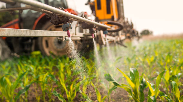 Best Local Pest Control Services  in Hurley, MS